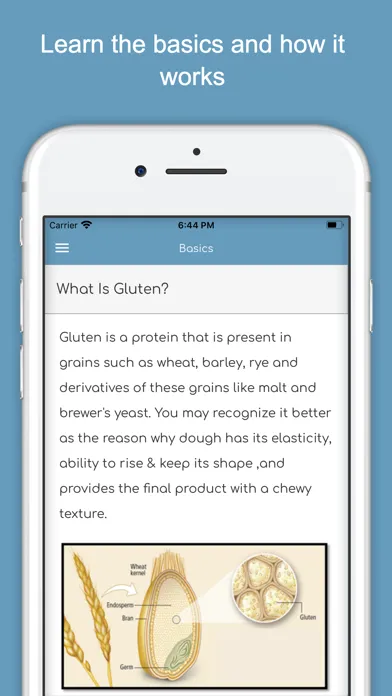Gluten Free Diet Guide & List Ekran Görüntüleri
