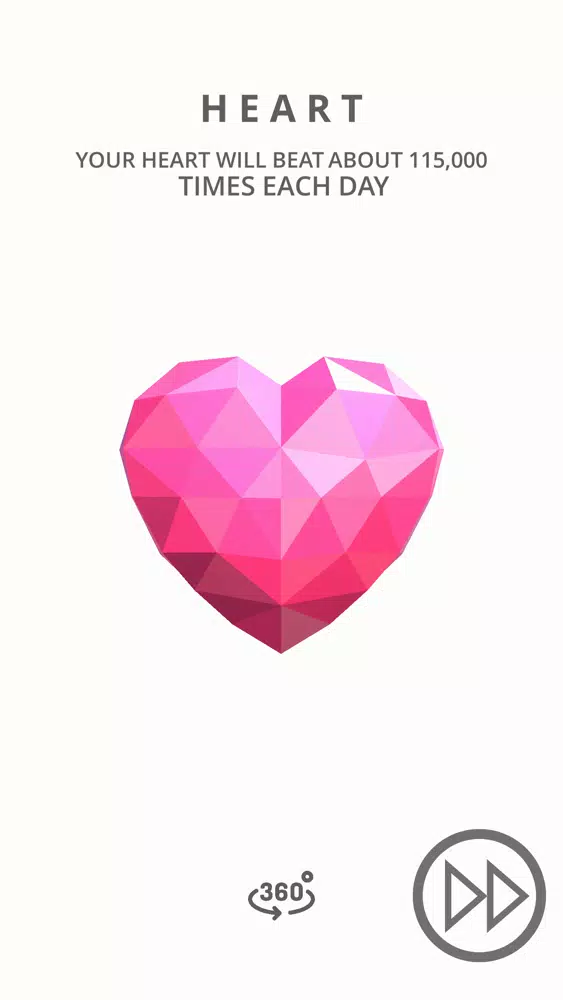 Reshaper স্ক্রিনশট