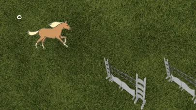 Capturas de pantalla de VeebRider