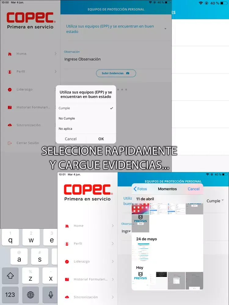 Plantas Copec iPad  سکرین شاٹس