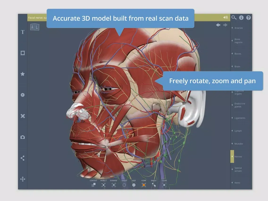 تصاویر Head: 3D Real-time iPad 