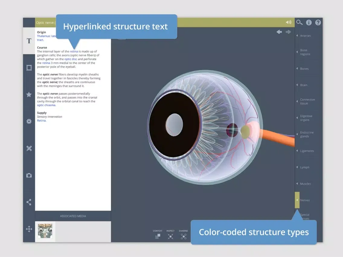 تصاویر Head: 3D Real-time iPad 