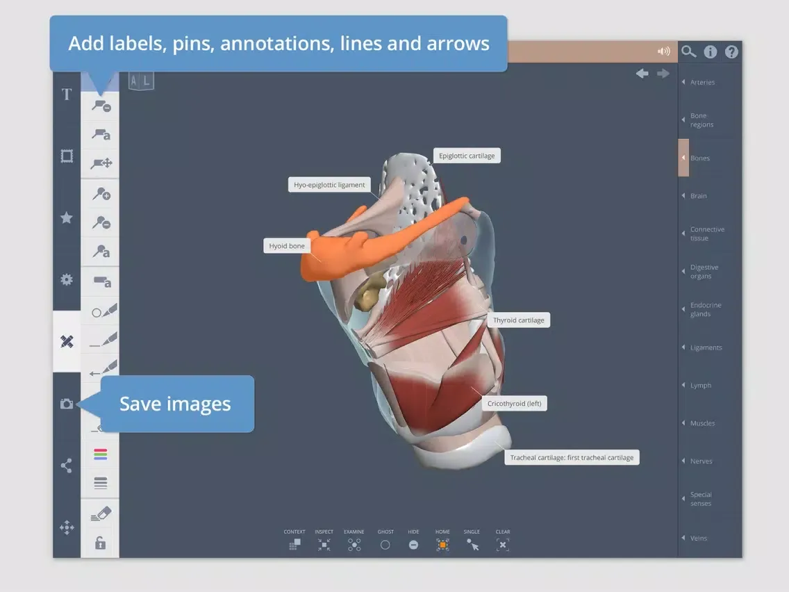 تصاویر Head: 3D Real-time iPad 