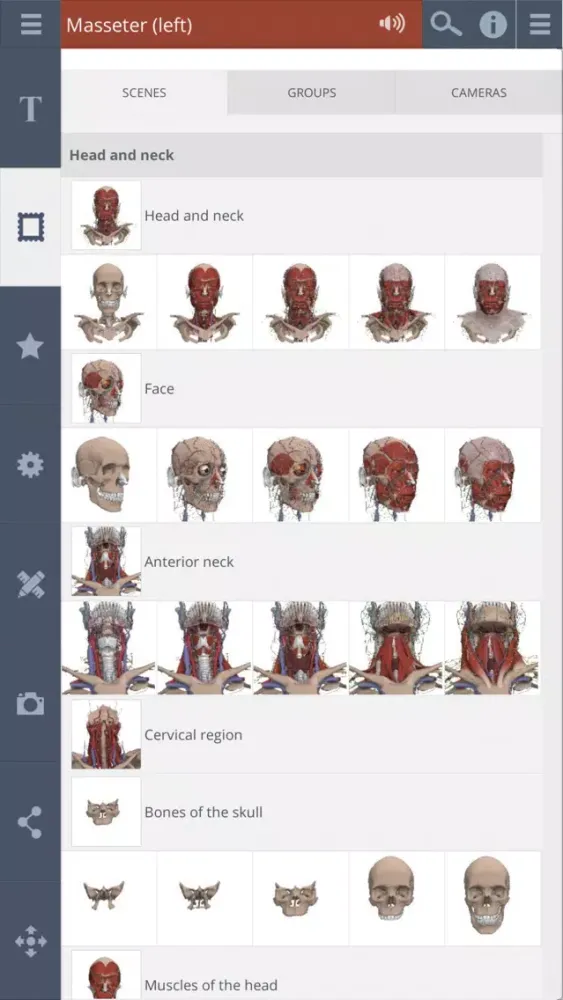 تصاویر Head: 3D Real-time