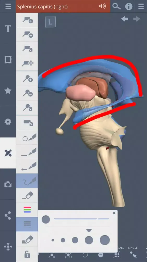 تصاویر Head: 3D Real-time