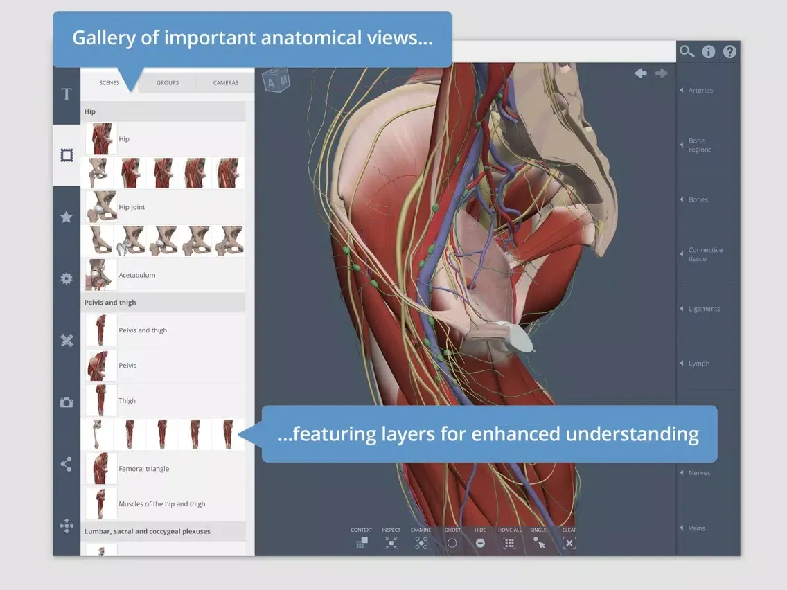 Screenshot di Hip: 3D Real-time iPad 