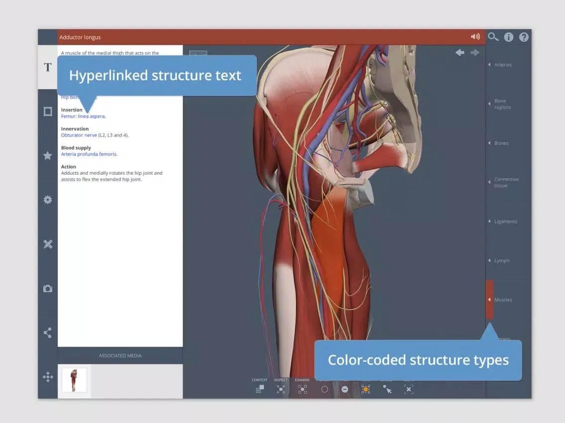 Screenshot di Hip: 3D Real-time iPad 