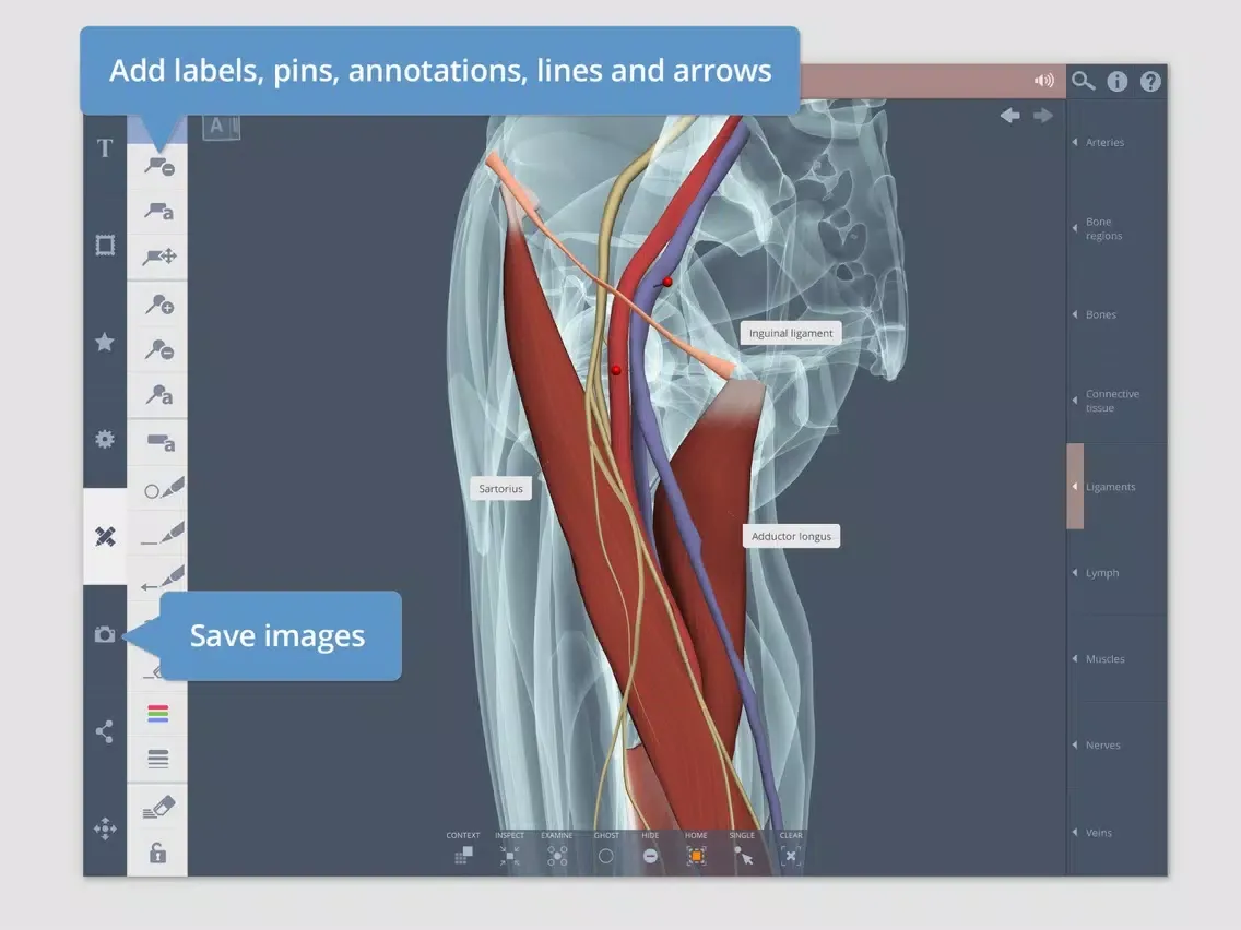 Screenshot di Hip: 3D Real-time iPad 