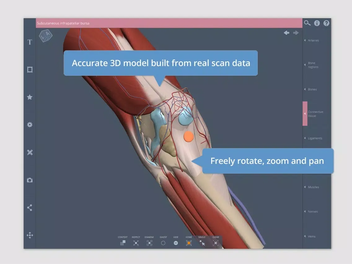 Knee: 3D Real-time iPad  Ekran Görüntüleri