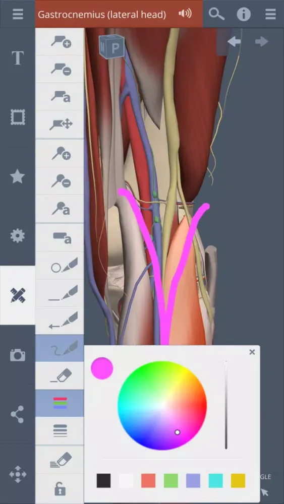 Knee: 3D Real-time Ekran Görüntüleri