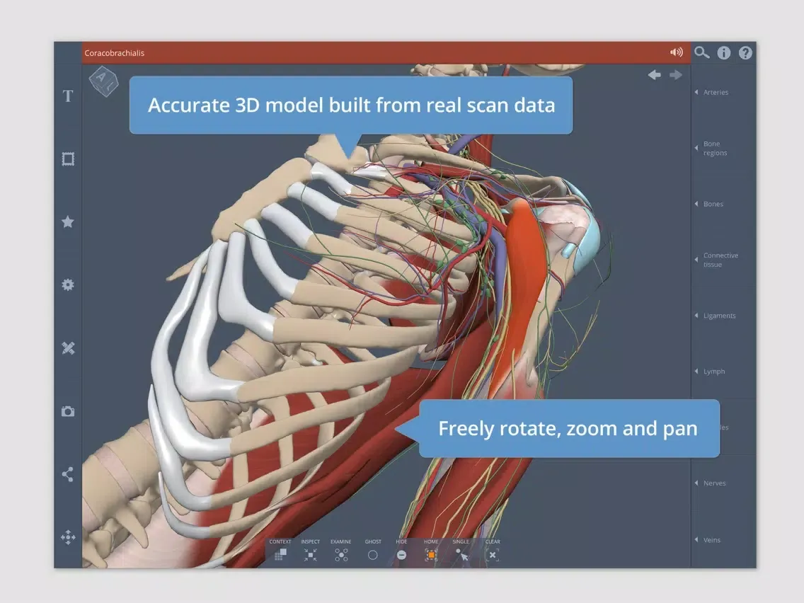 Captures d'écran de Shoulder: 3D Real-time iPad 