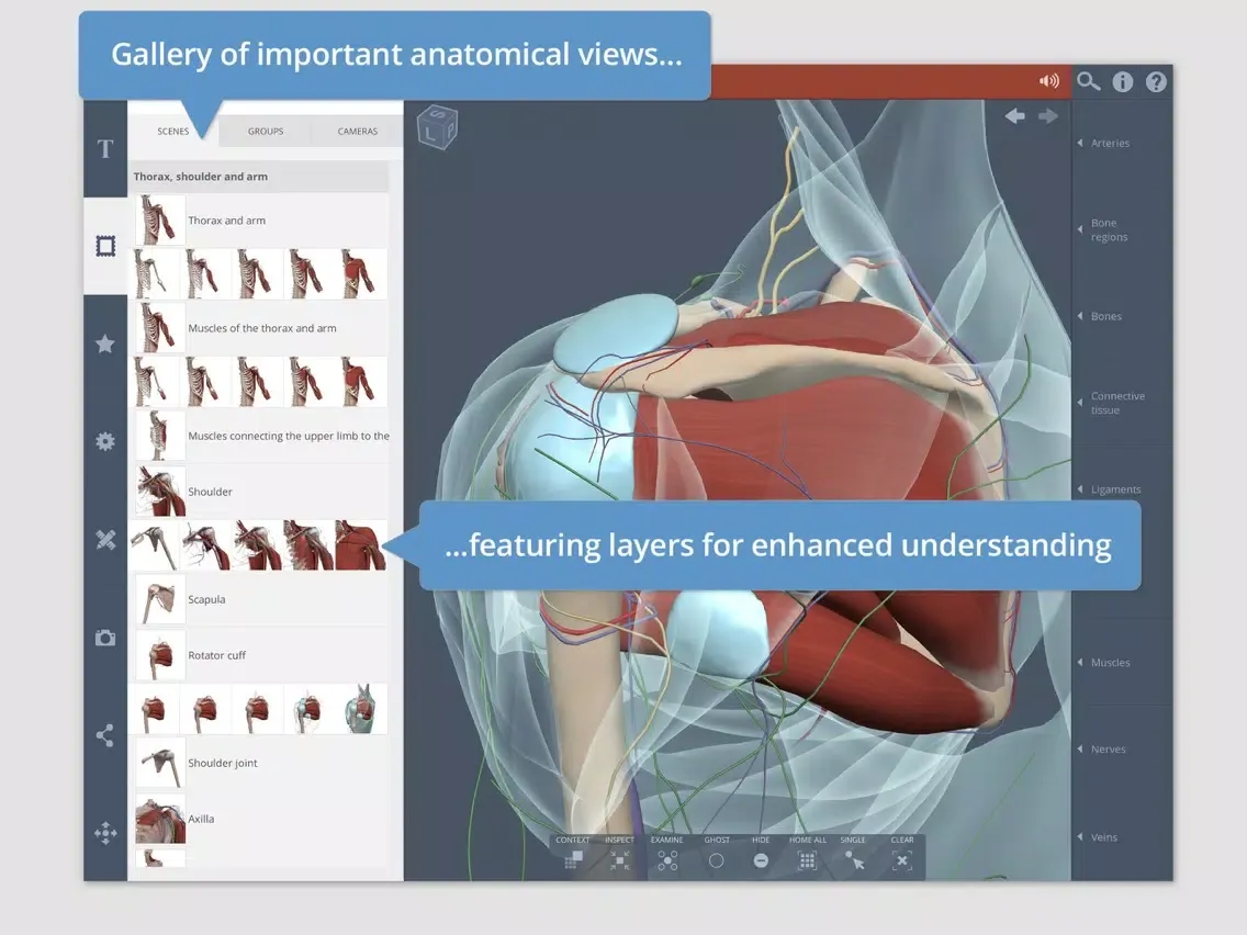 Captures d'écran de Shoulder: 3D Real-time iPad 