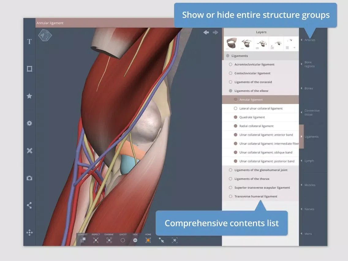 Captures d'écran de Shoulder: 3D Real-time iPad 