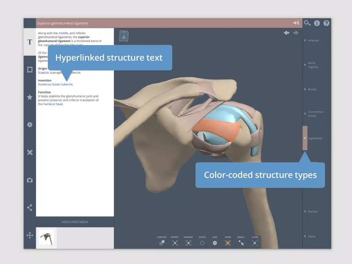 Captures d'écran de Shoulder: 3D Real-time iPad 