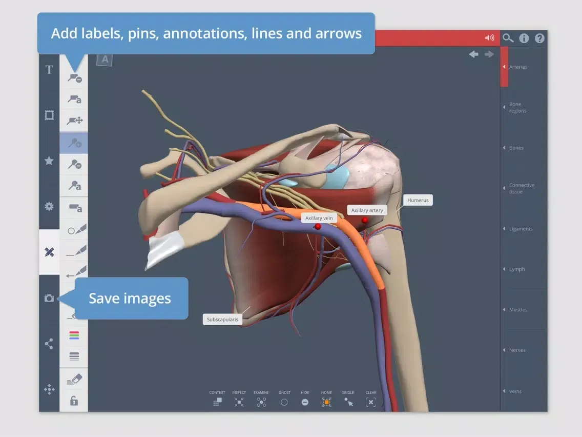 Captures d'écran de Shoulder: 3D Real-time iPad 