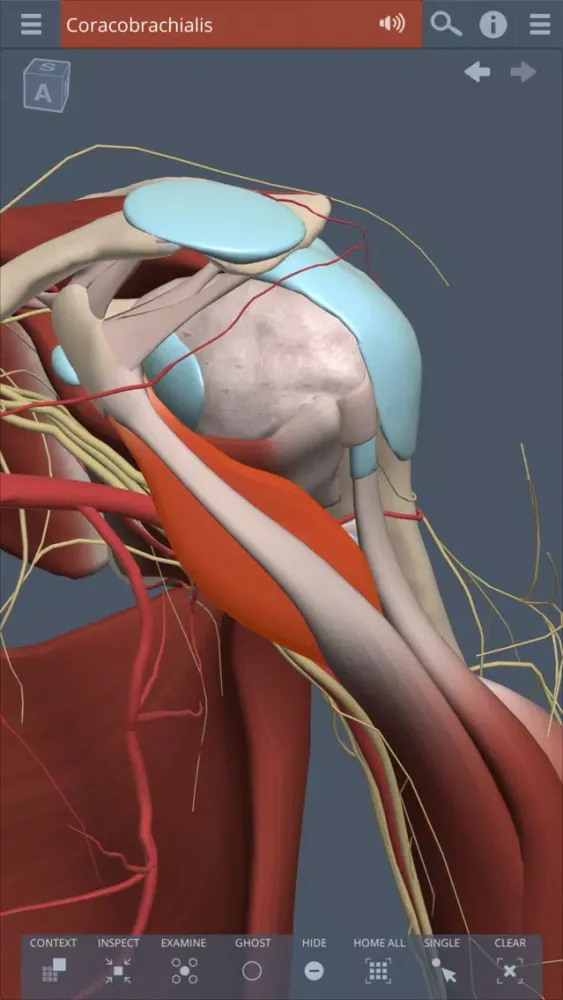 Captures d'écran de Shoulder: 3D Real-time