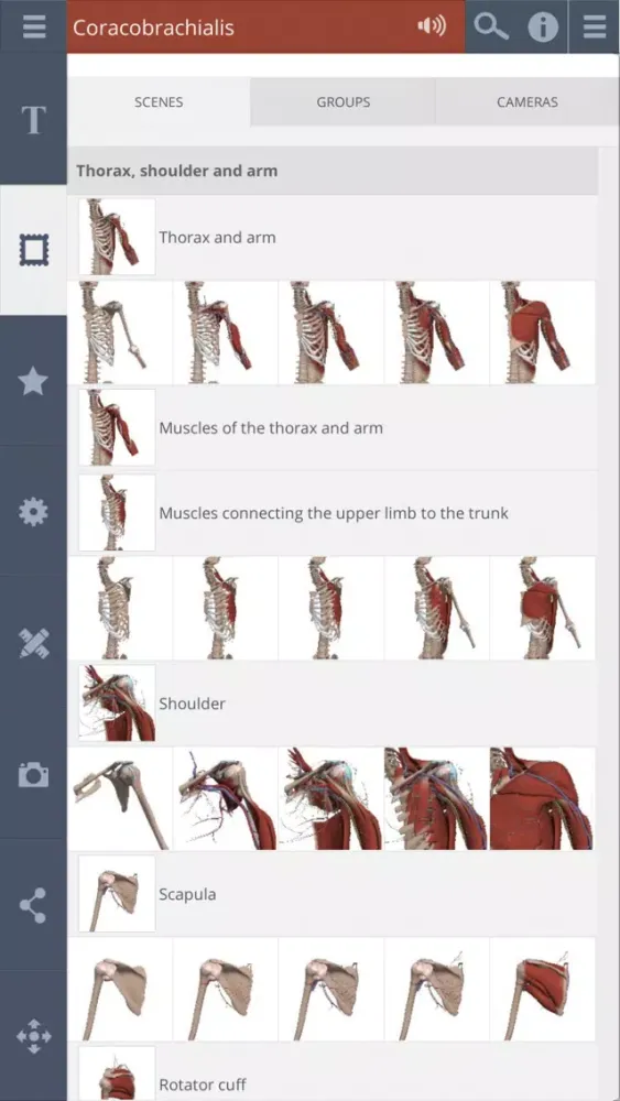 Captures d'écran de Shoulder: 3D Real-time