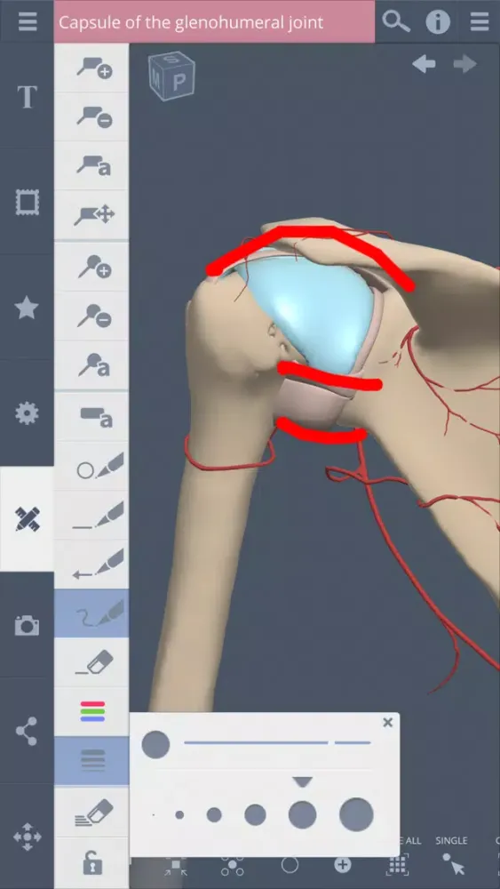Captures d'écran de Shoulder: 3D Real-time