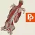 Spine: 3D Real-time
