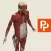 Whole body: 3D real-time