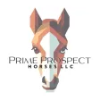 Prime Prospect Horses