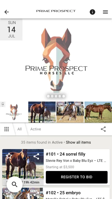 Tangkapan layar Prime Prospect Horses