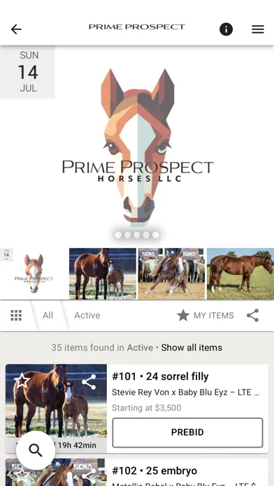Tangkapan layar Prime Prospect Horses
