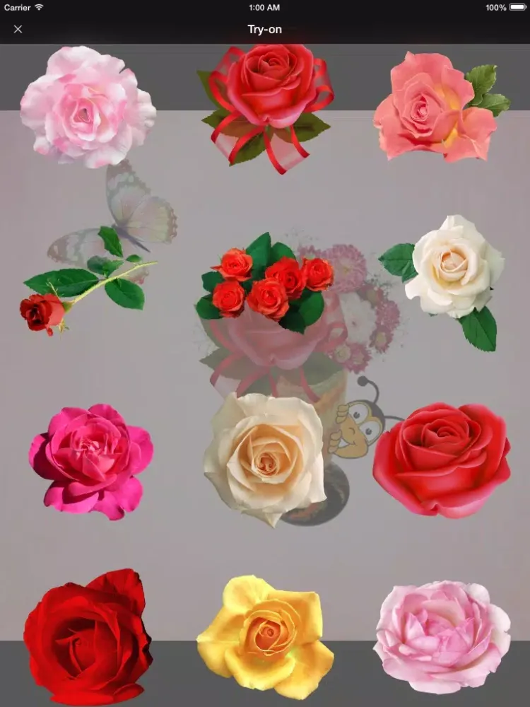Primerun Flowers + make a gift iPad  سکرین شاٹس