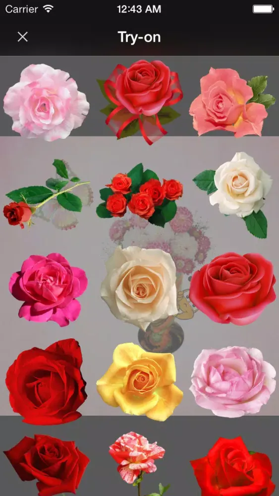 Primerun Flowers + make a gift سکرین شاٹس