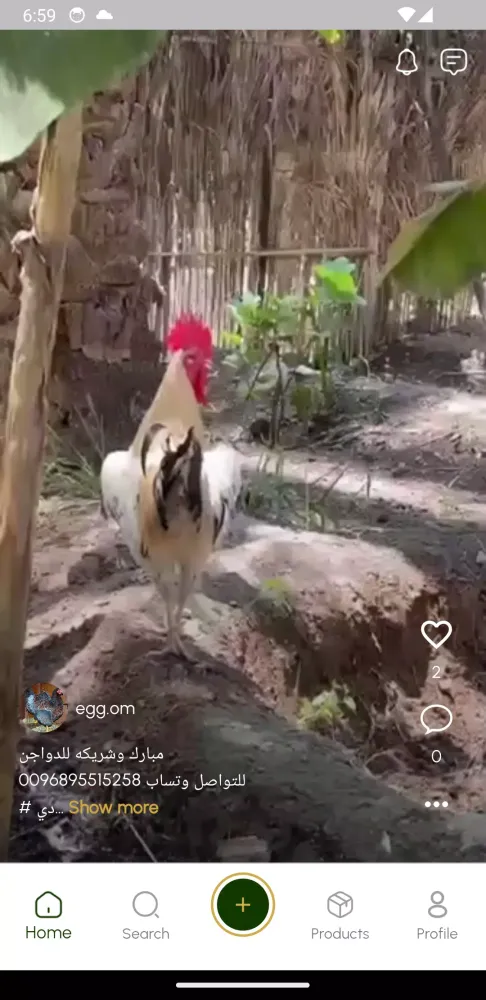 Tangkapan layar GoldenEgg