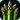 Asparagus Vegetable Recipes