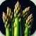 Asparagus Vegetable Recipes