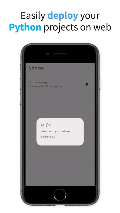 صور Micro - run python on web