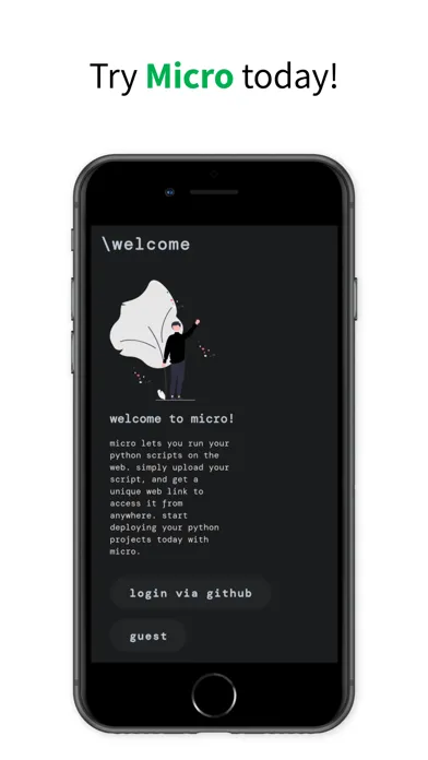 صور Micro - run python on web