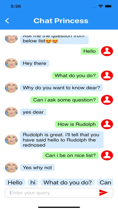 Video Call Princess Screenshots