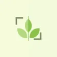 PlantID: Plant Identification