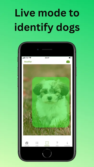 صور DoggyApp - Identify Dog Breeds