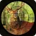 Safari Animal hunting 2016 – deer, bear and fox shooting game to increase the shooting level.