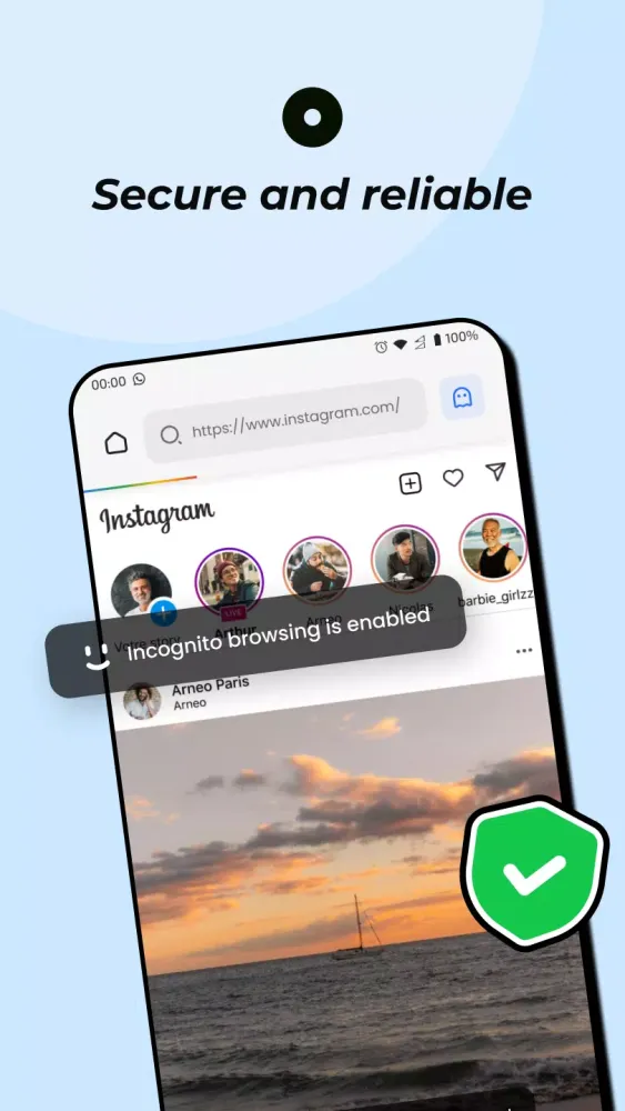 Screenshot di Private Browser