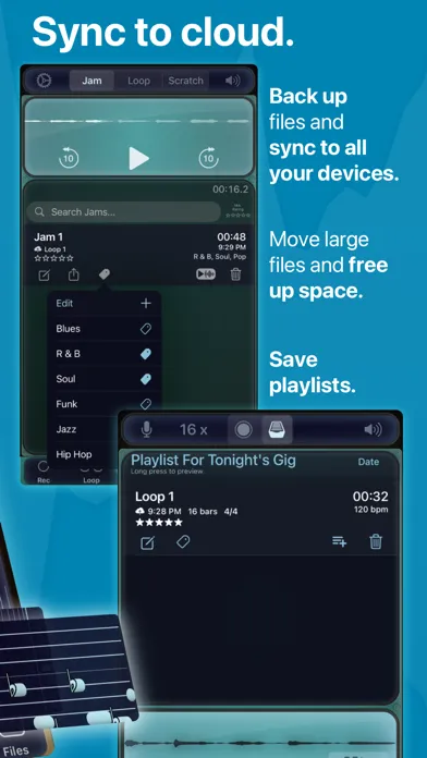 Pro Looper: Loop Guitar, Voice應用截圖