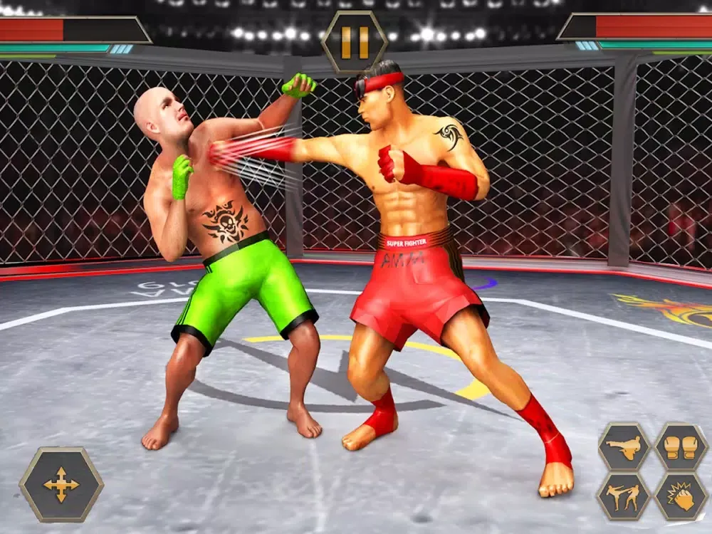 Capturas de tela do PRO Wrestling Kung Fu Fight iPad 