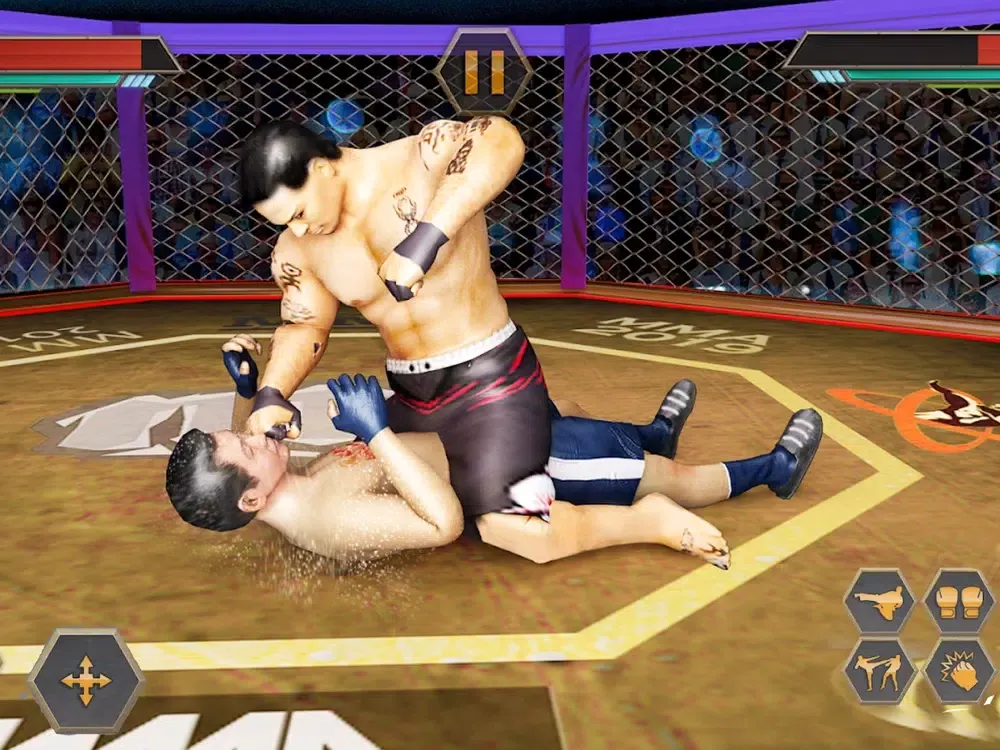Capturas de tela do PRO Wrestling Kung Fu Fight iPad 