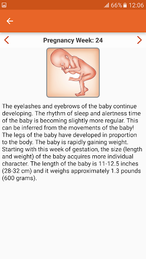 WomanLog Pregnancy Pro Screenshots3