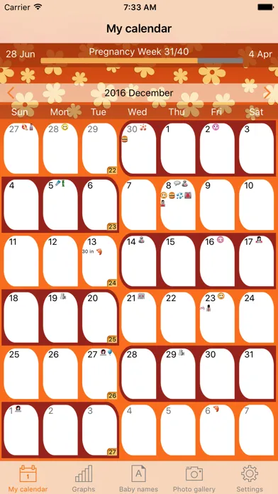 WomanLog Pregnancy Pro应用截图