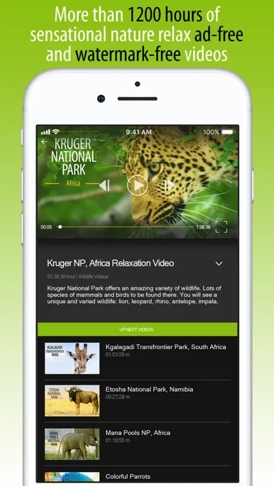 Tangkapan skrin 4K Nature Relax TV: Watch 24/7