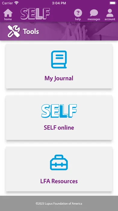 Tangkapan layar SELF by LFA
