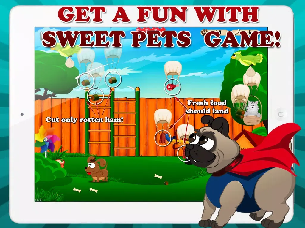 Hungry Day - Little Dogs iPad  سکرین شاٹس