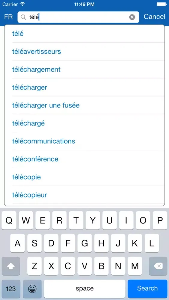 French <> Spanish Dictionary + Vocabulary trainer應用截圖