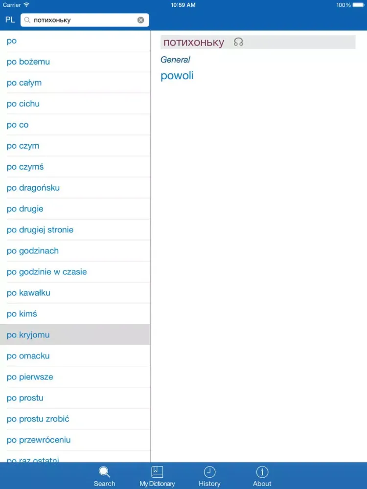 Russian <> Polish Dictionary + Vocabulary trainer iPad  স্ক্রিনশট