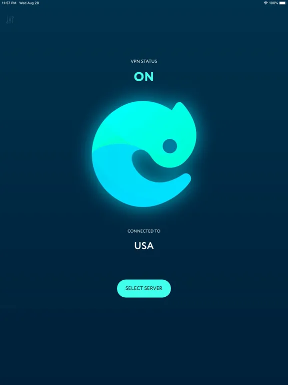 Captures d'écran de Chamy VPN iPad 